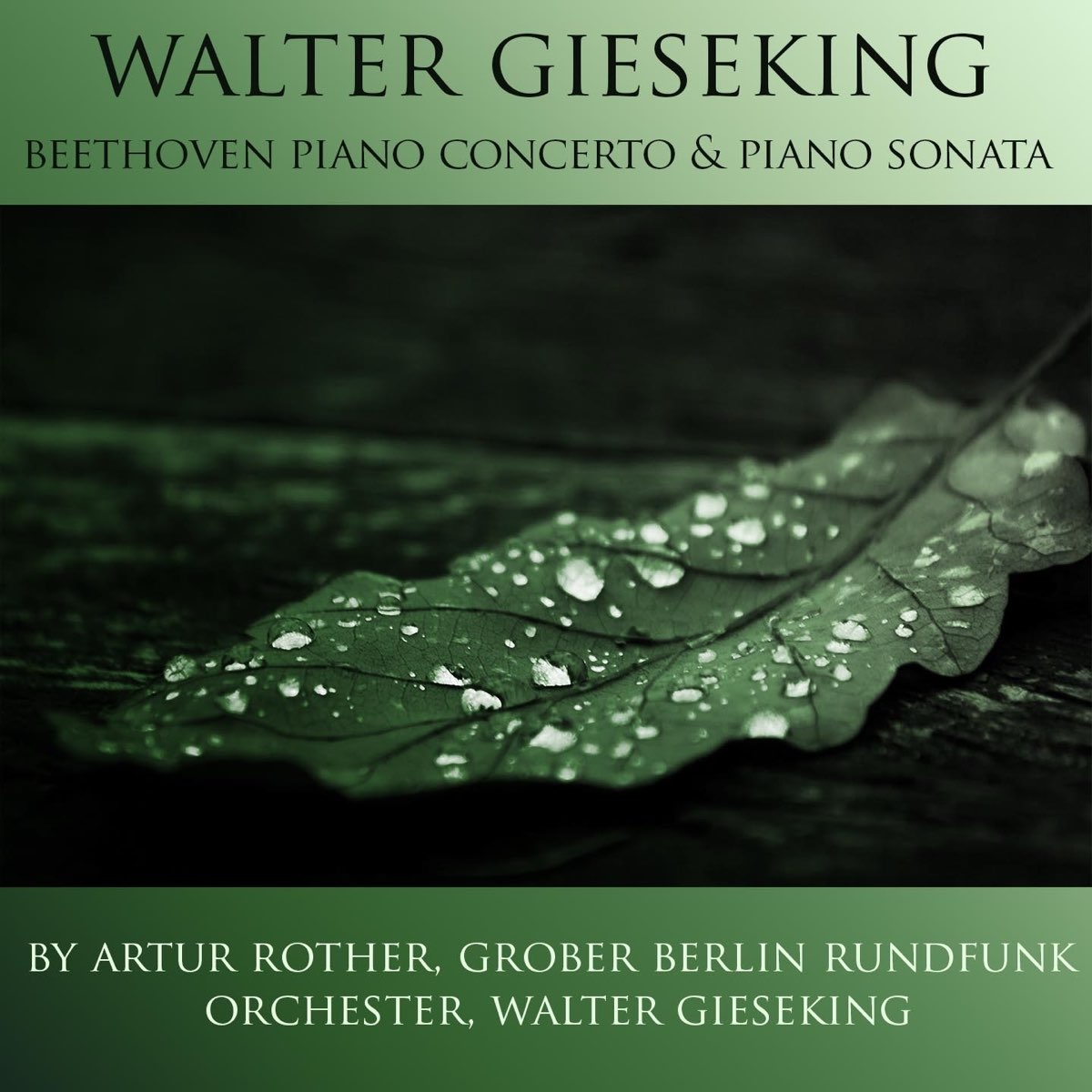 Walter Gieseking Beethoven Piano Concerto Piano Sonata By Grober