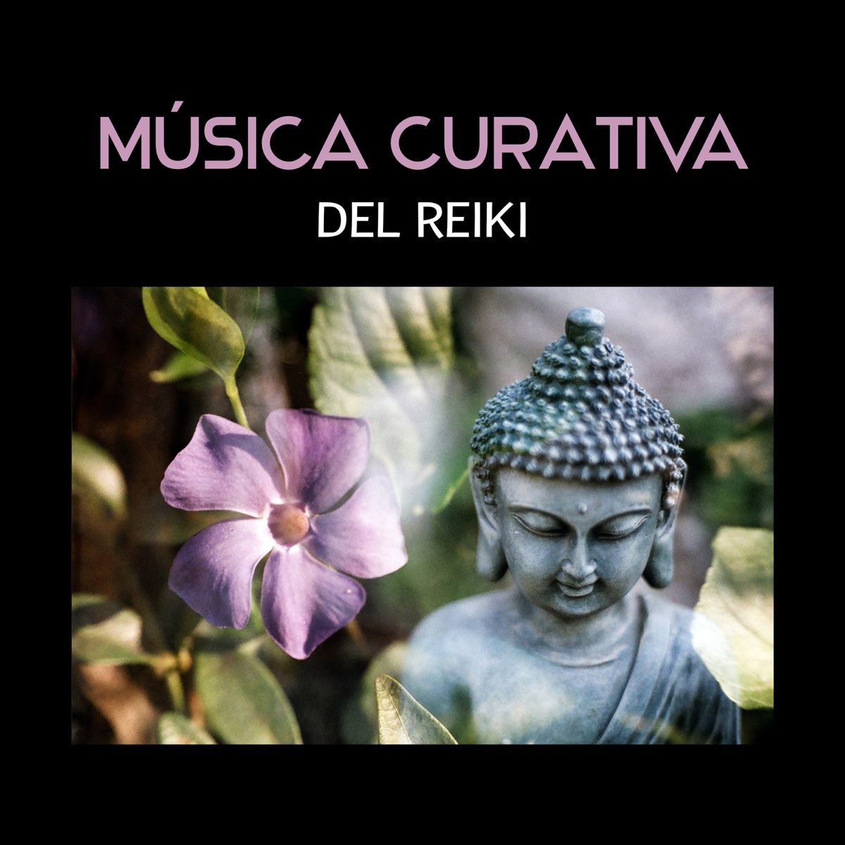 Música Curativa del Reiki Yoga y Meditación Terapia de la Música