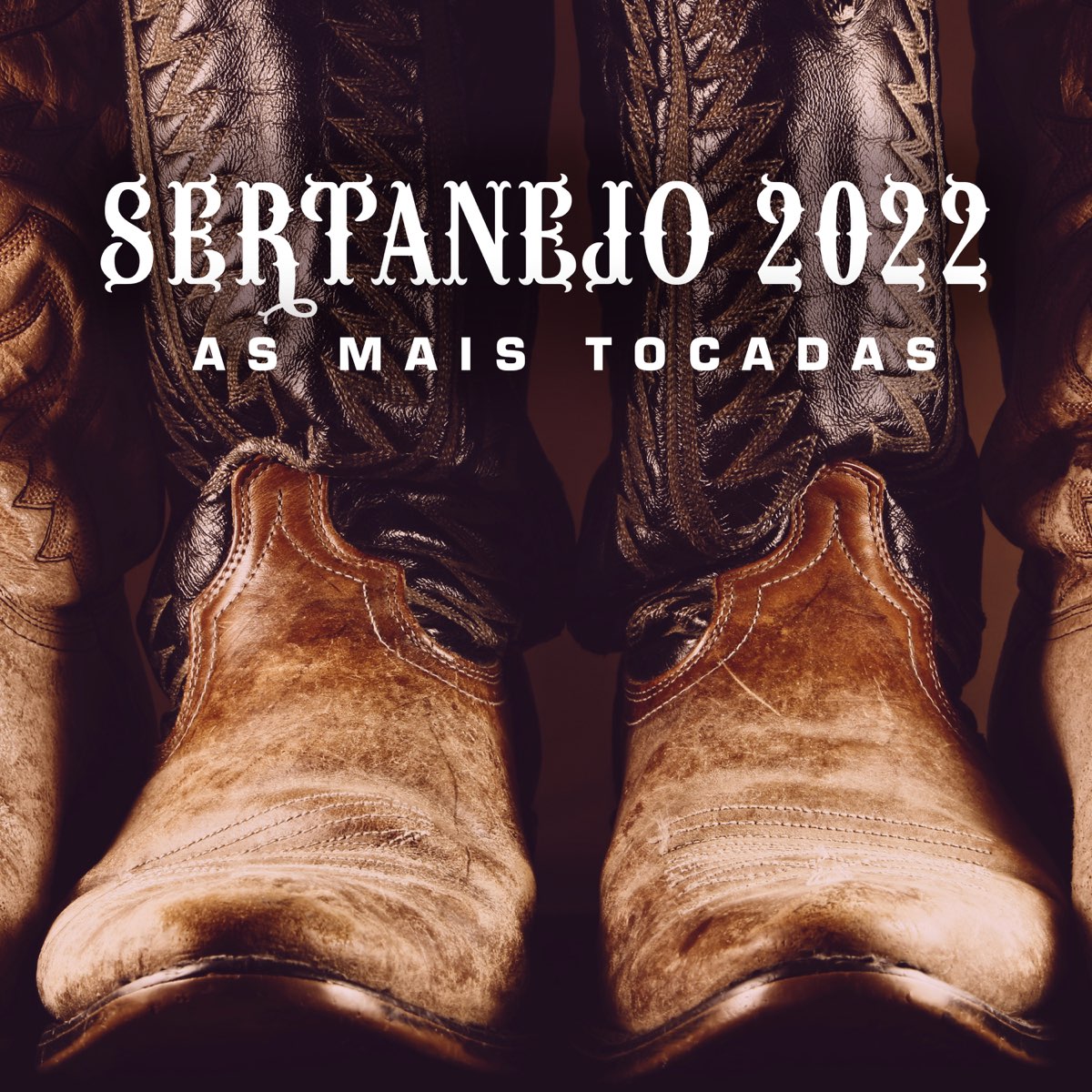 Sertanejo As Mais Tocadas By Various Artists On Apple Music