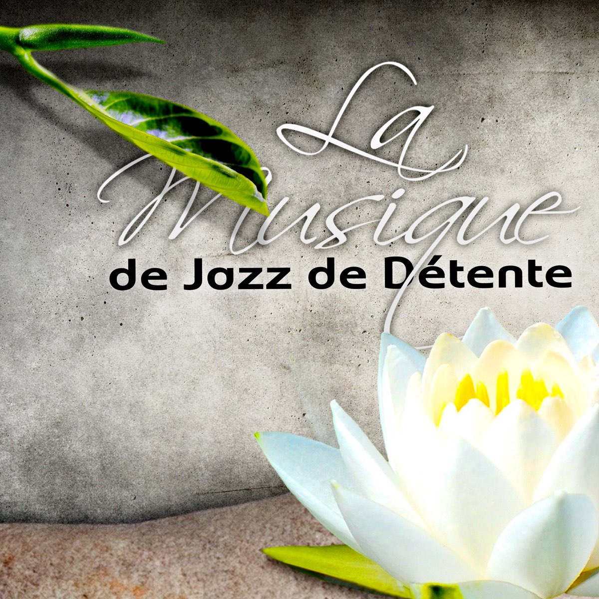 La Musique De Jazz De D Tente Guitare Acoustique Piano Music For