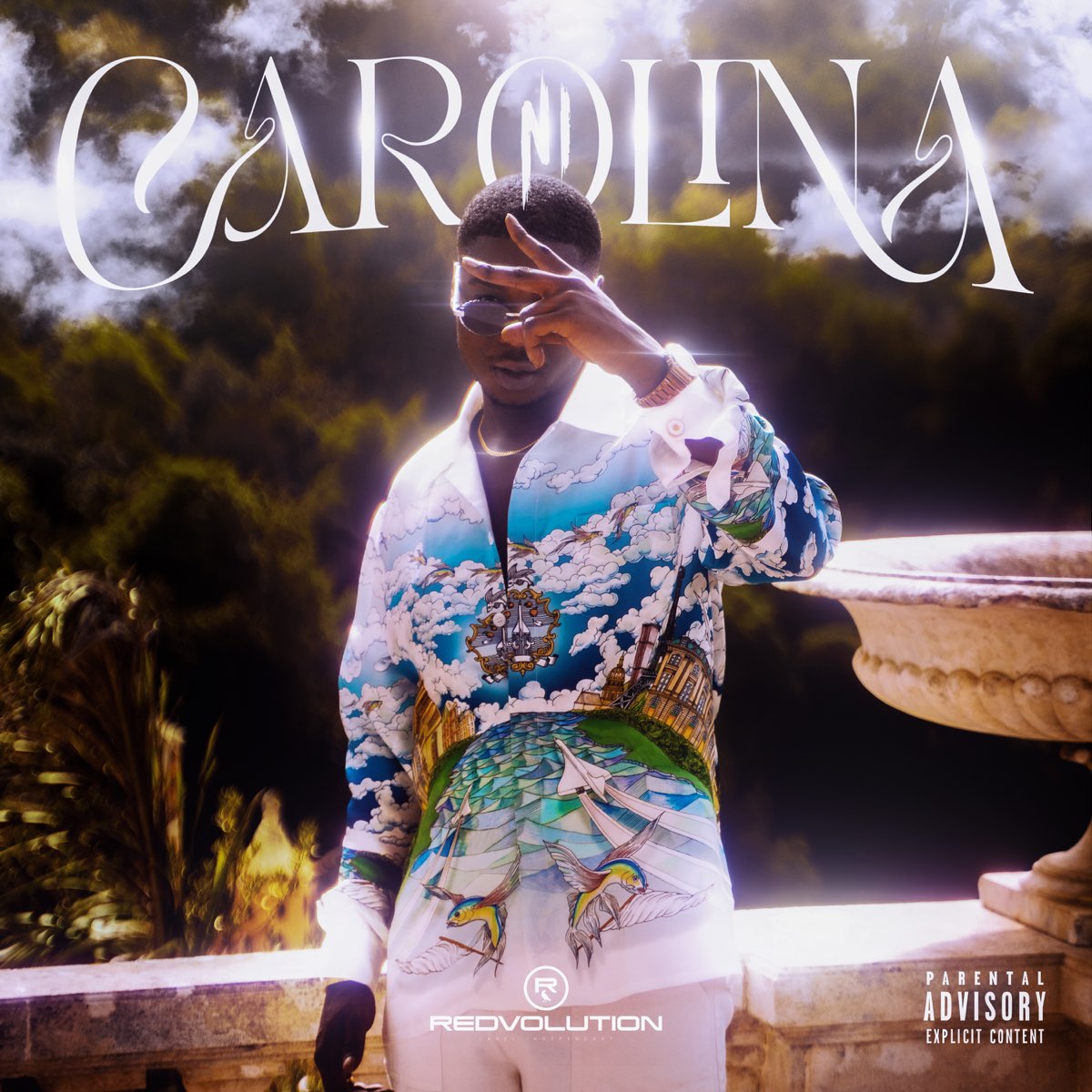 Carolina Single Par Ninho Sur Apple Music