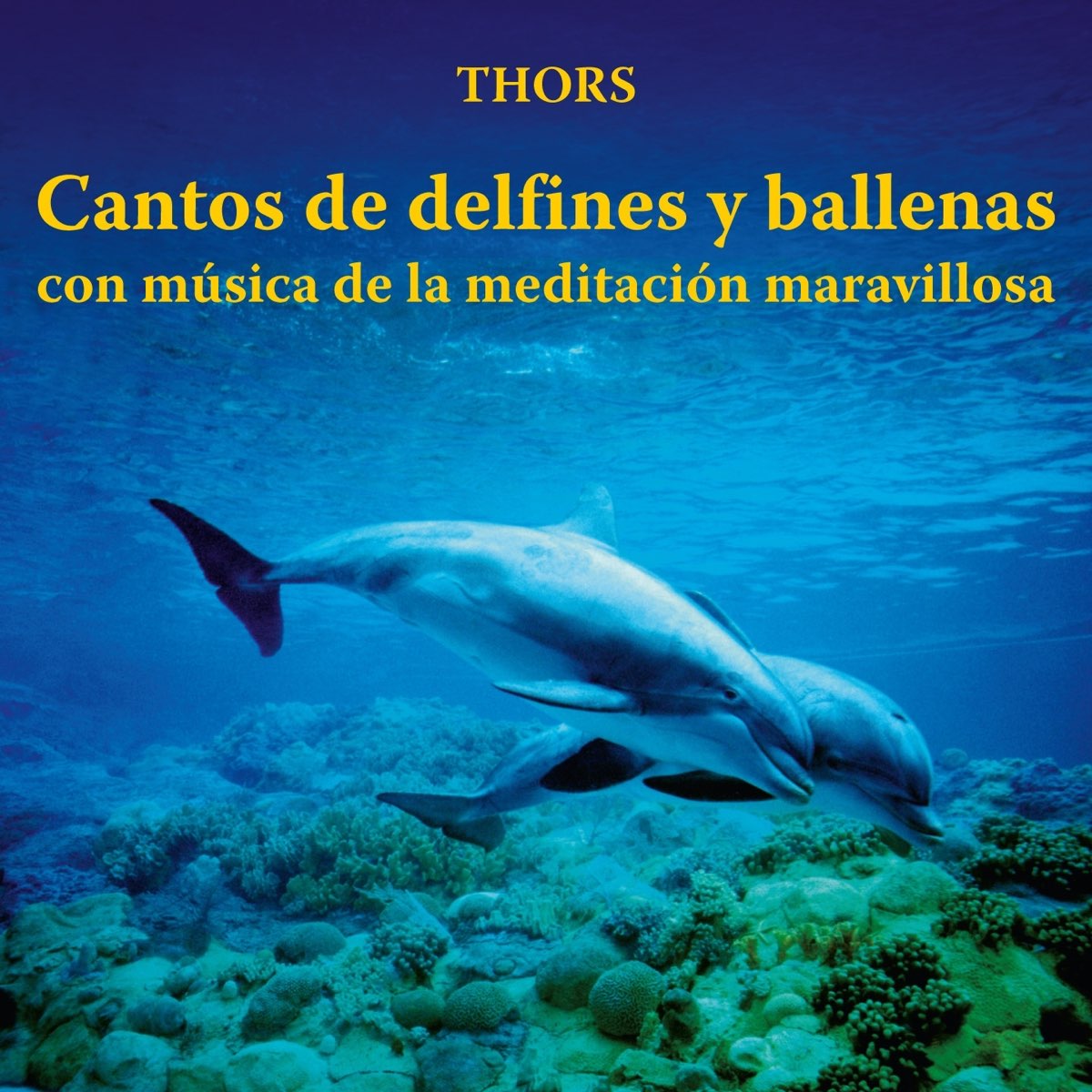 Cantos De Delfines Y Ballenas Con M Sica De La Meditaci N Maravillosa