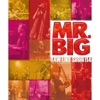 MR.BIG