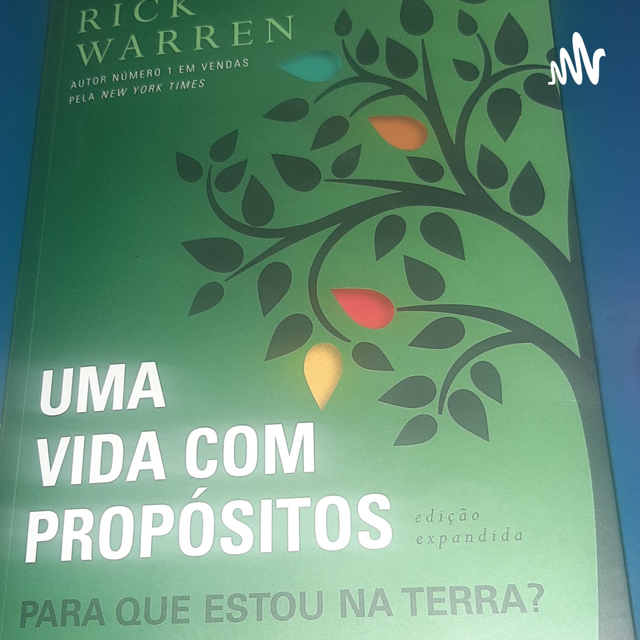 Resumo Do Livro Uma Vida Prop Sitos Para Que Estou Na Terra Uma