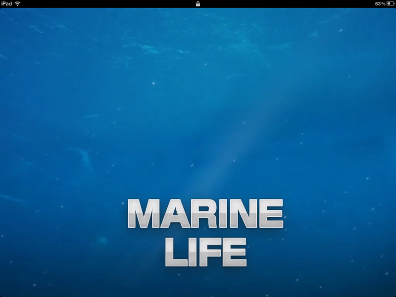 marinelife hd -by rye studio