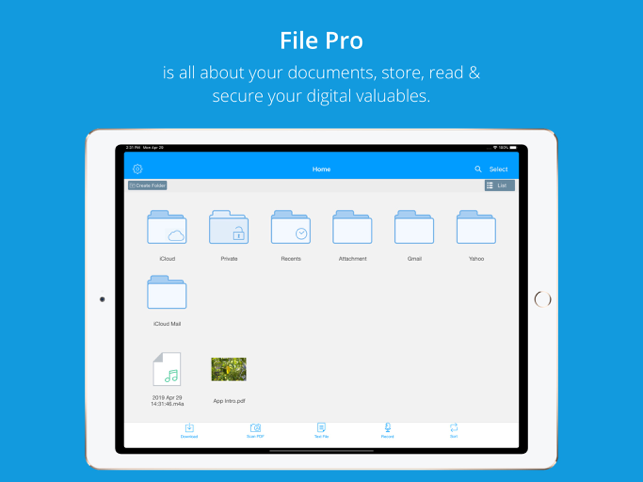 ‎File Pro - Easy Files & PDF Screenshot
