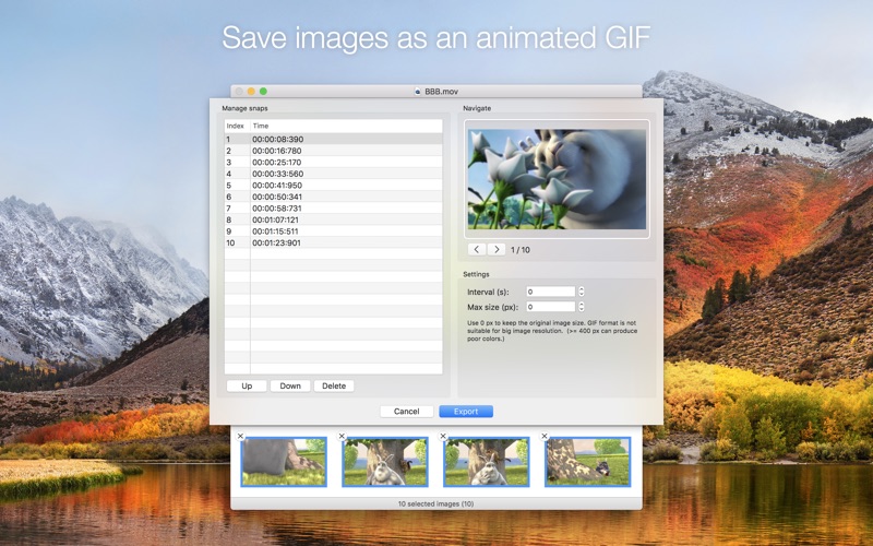 SnapMotion.app caprure 3 3_SnapMotion.jpg