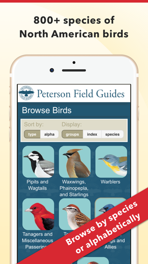 ‎Peterson Bird Field Guide Screenshot