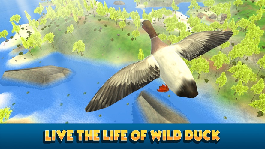 flying duck simulator: wild bird life 3d