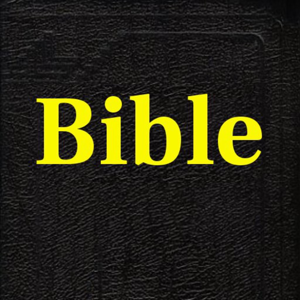 holy bible kjv (king james version)