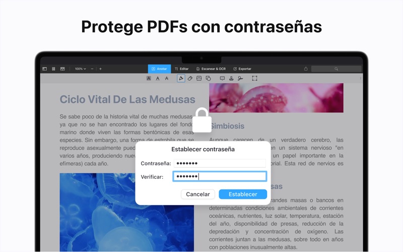 Pdf Expert Edita Firma Pdfs Para Pc Descarga Gratis Windows Y Mac Os Pcmac Espa Ol