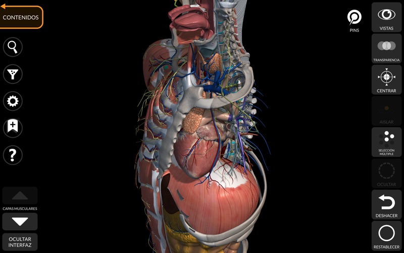 Anatomia 3d