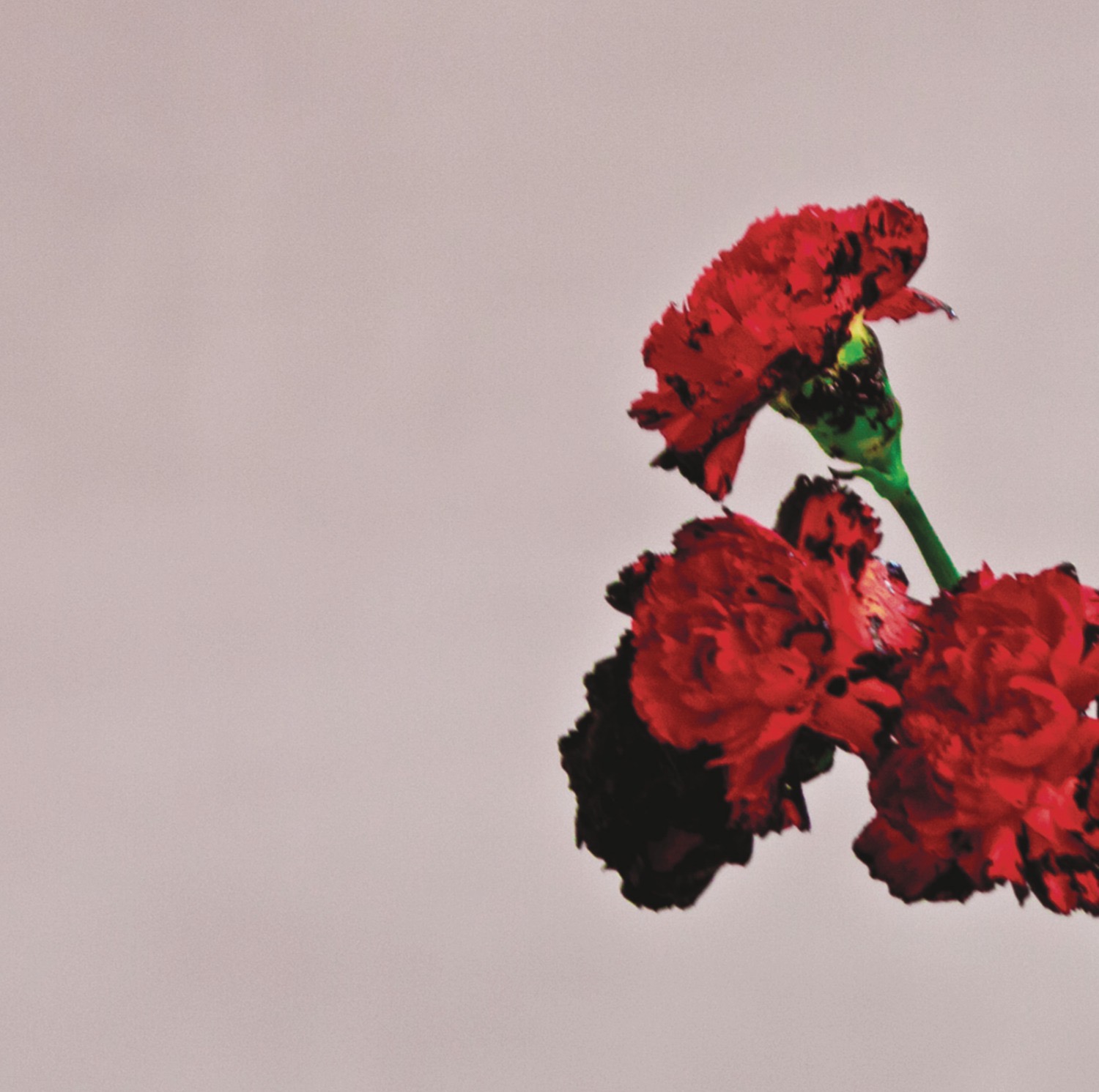 All Of Me artwork