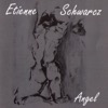 Etienne Schwarcz - Amours Divines