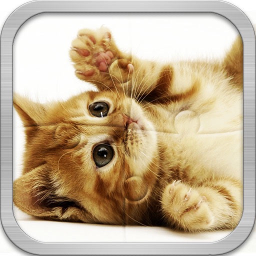 kitten jigsaw puzzle icon