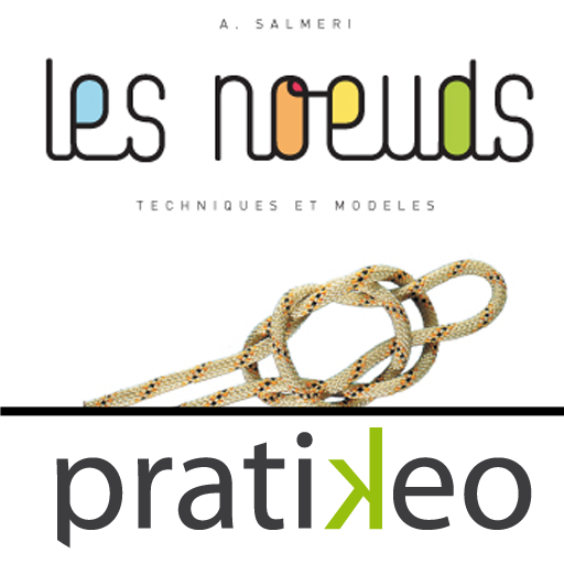 Noeuds : techniques et modèles