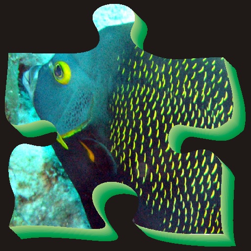 Puzzle Thema ME iPCaribbean Sea icon