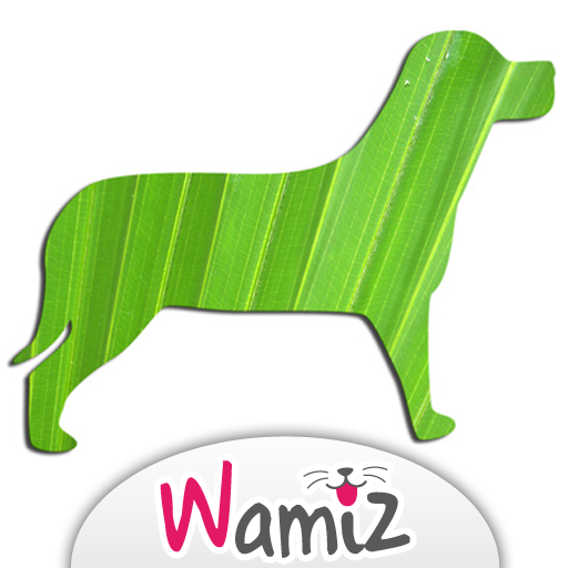 Alimentation bio pour son chien - Wamiz