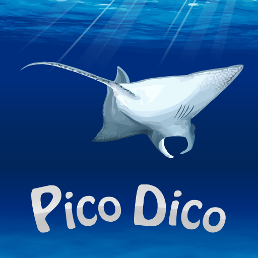 PicoDico1