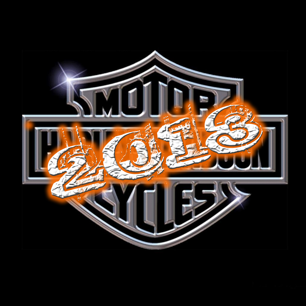 2013 Harley Davidson Gallery icon