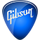 I was sitting on the fence with this app to begin with, since it initially was little more than a free advertisement for Gibson guitar company's Learn & Master video instruction series