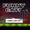 The FunnyCats