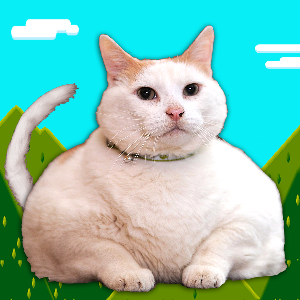 Flying Fat Cat - Flap That Tail! icon