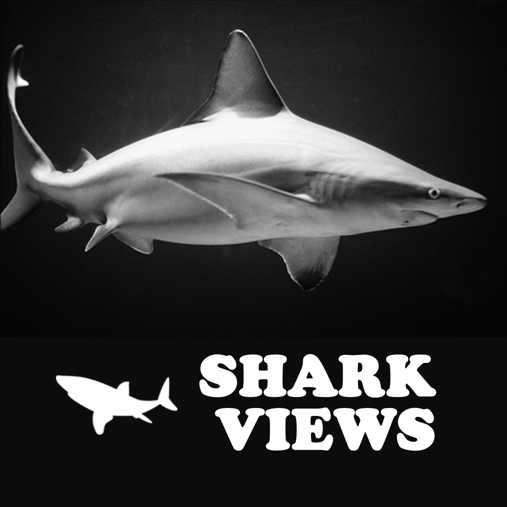 Shark Views icon