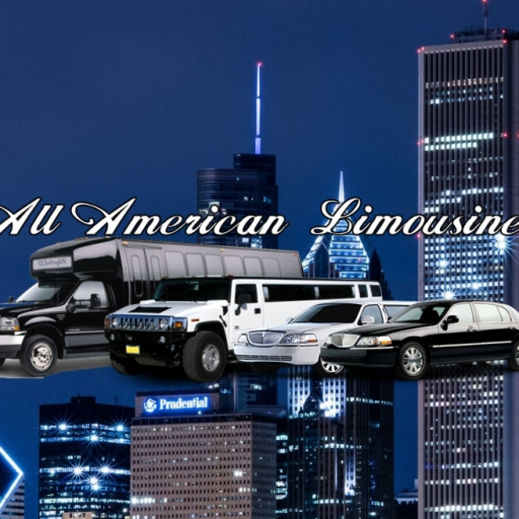 All American Limousine icon