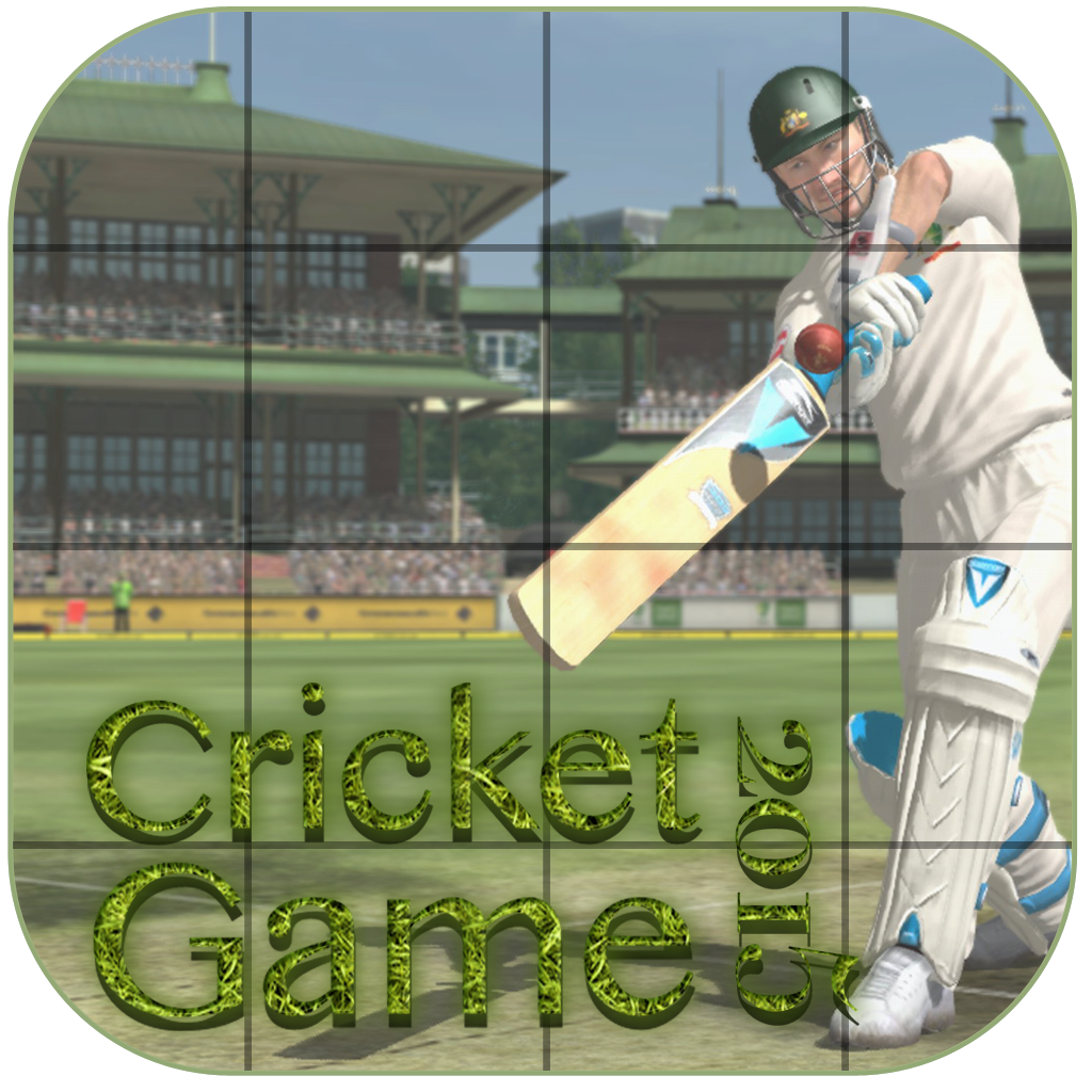 IPL Cricket Game 2015
