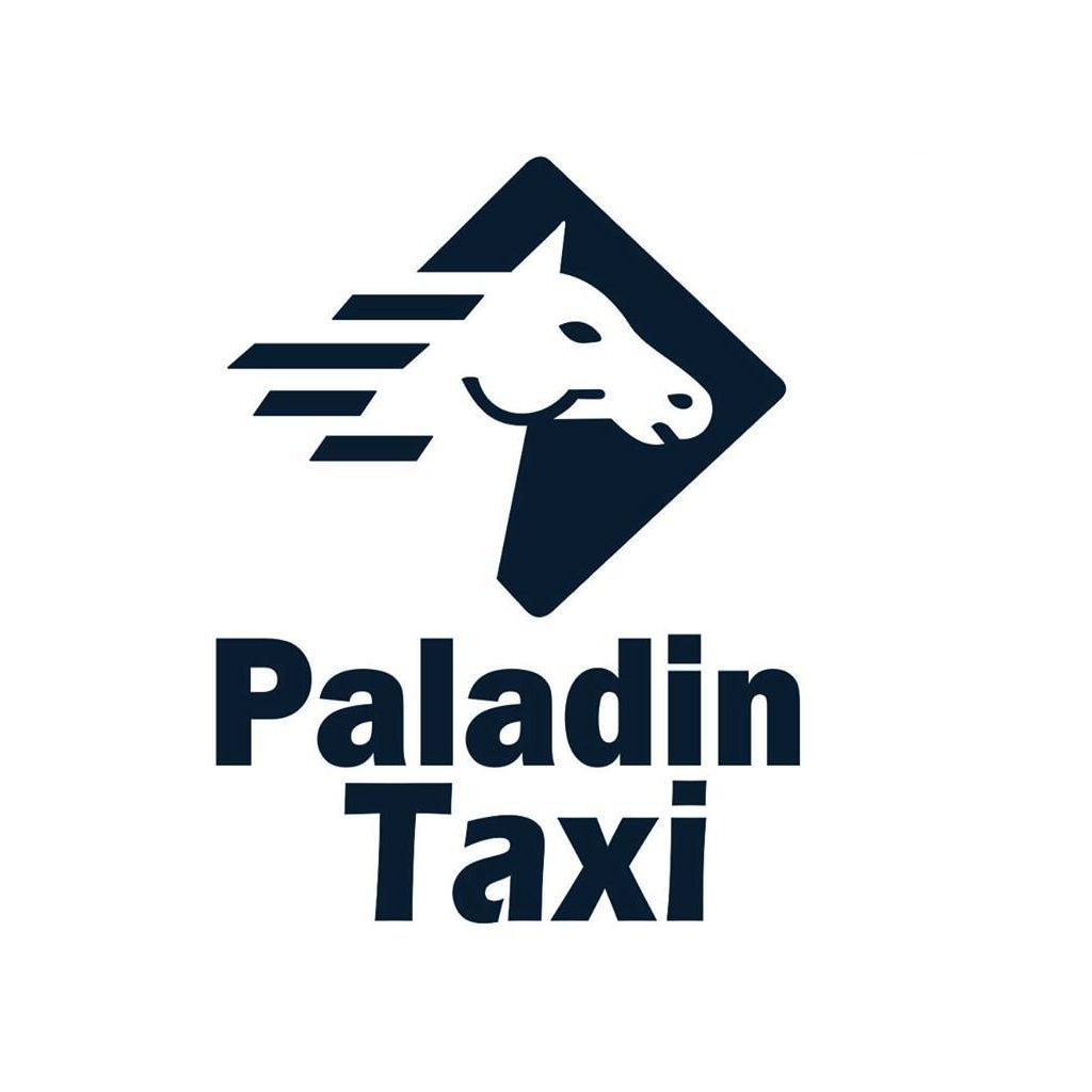 Paladin Taxi icon