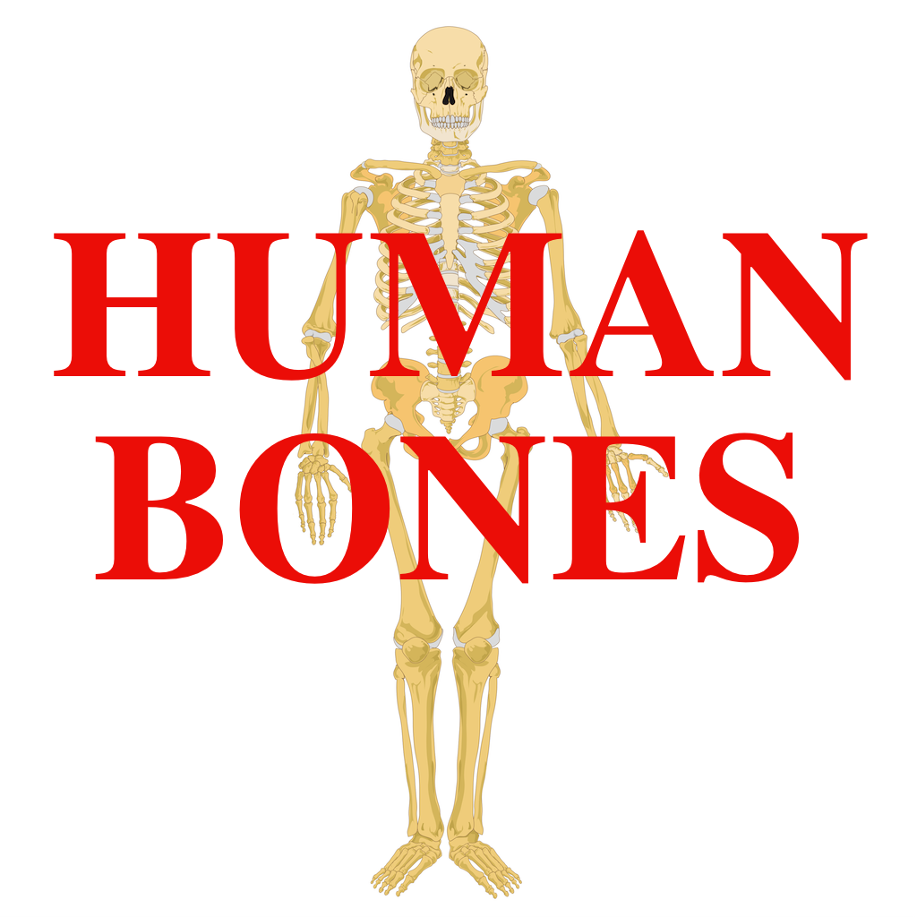 Guide To Human Bones icon