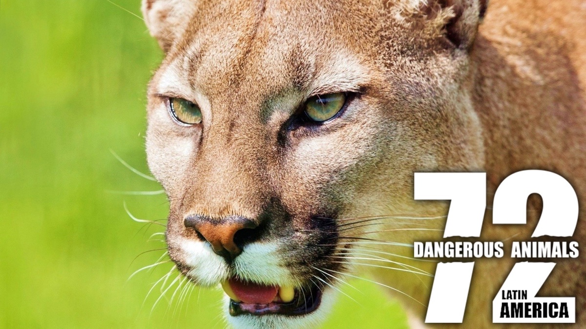 72-dangerous-animals-latin-america-apple-tv