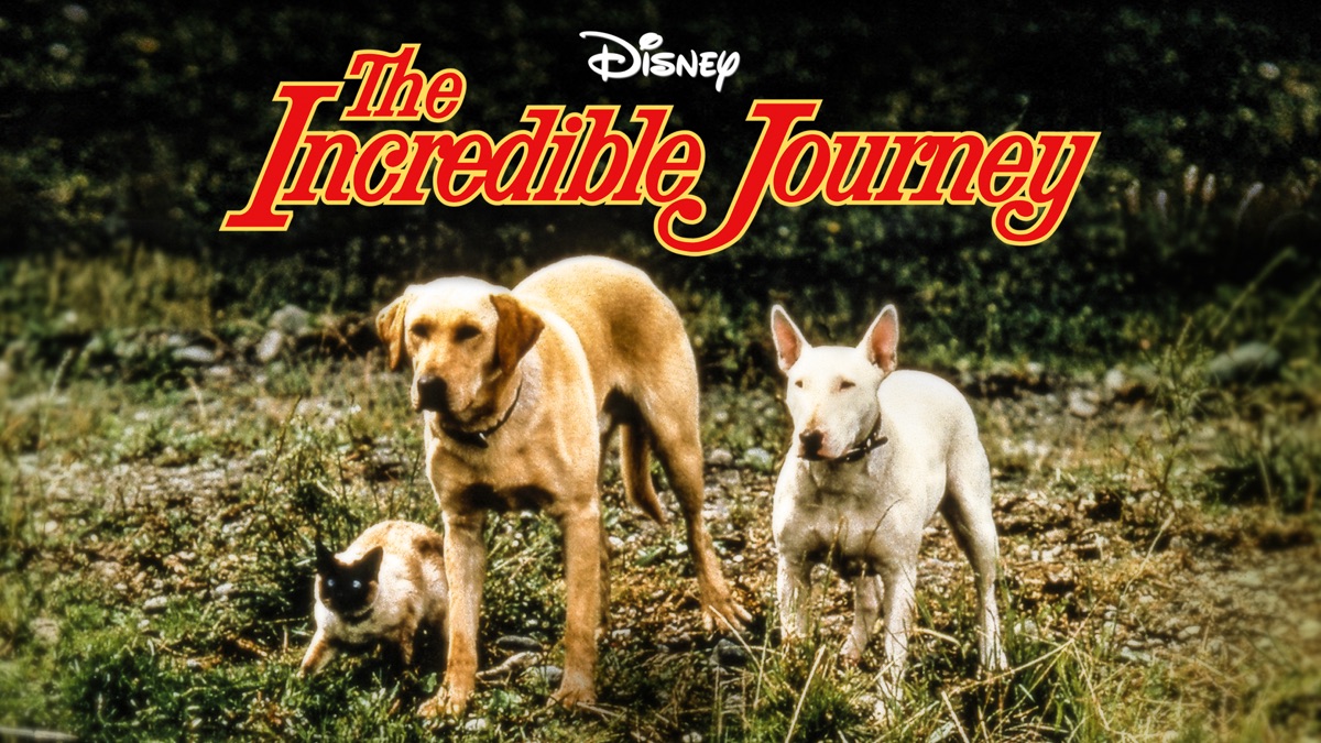 the incredible journey genre