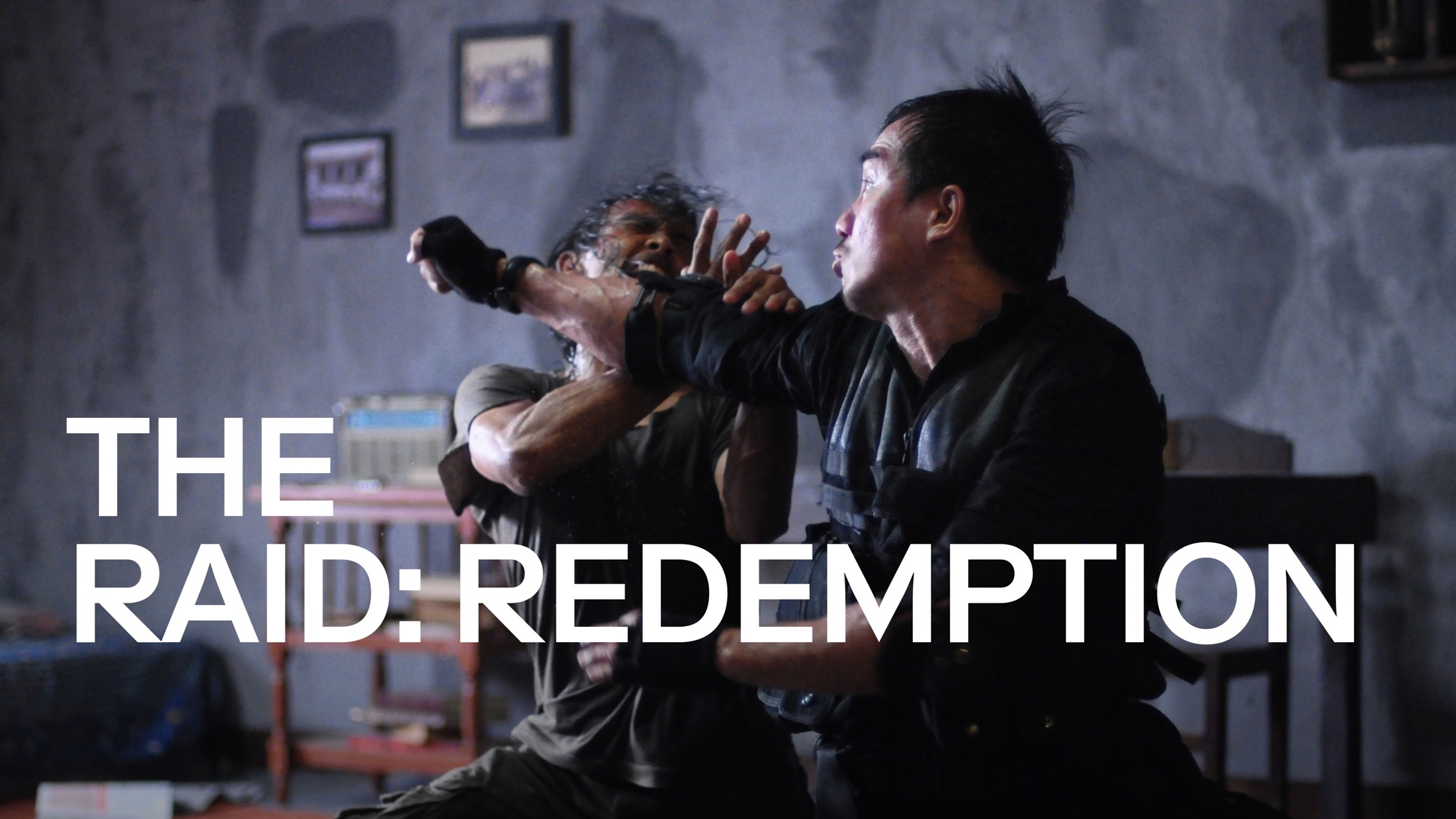 watch raid redemption online with subs