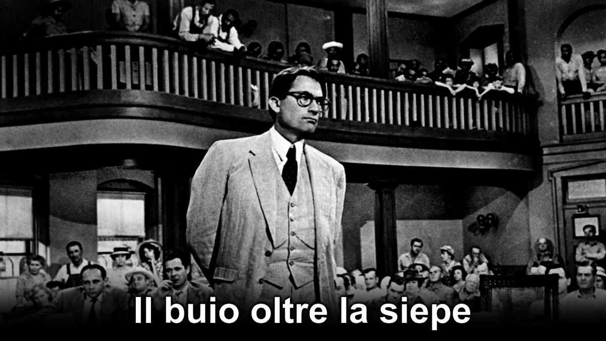 Il Buio Oltre La Siepe Film Netflix