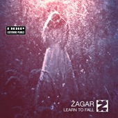 Learn to Fall (Zagar's Dub Rework) artwork