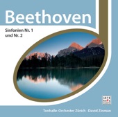 David Zinman, Baltimore Symphony Orchestra & Yo-Yo Ma - Symphony No. 2 in D Major, Op. 36: I. Adagio Molto