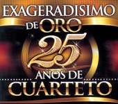 25 Años De Cuarteto: Sebastián (Medley) artwork