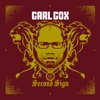 Carl Cox - Give Me Your Love (Valentino Kanzyani Mix)