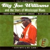 Big Joe Williams - Worried Life Blues
