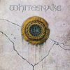 Whitesnake