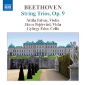 Beethoven, L. Van: String Trios (Complete), Vol. 1 - Op. 9 artwork