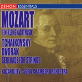 Serenade for String Orchestra in E Major, Op. 22 artwork