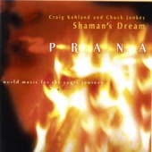 Prana artwork