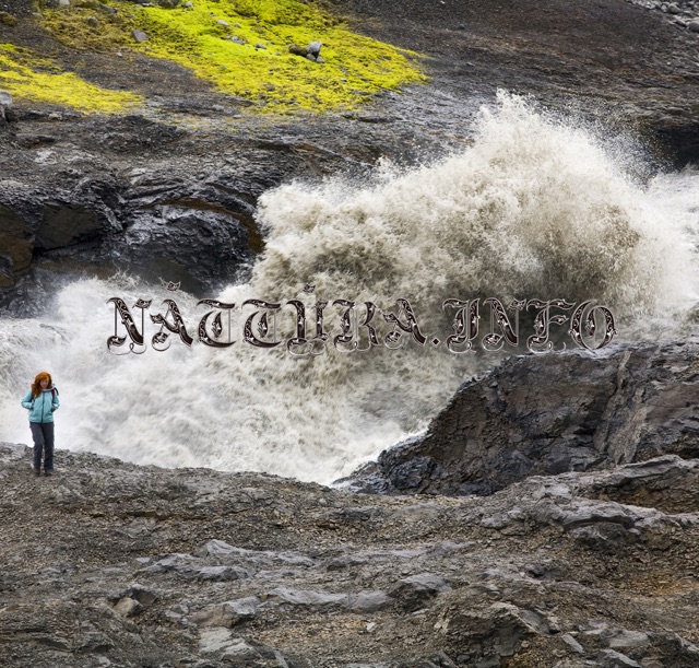 Nattura (feat. Thom Yorke) - Single