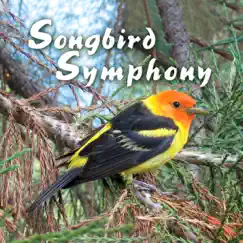 Songbird Symphony by Naturescapes Music album reviews, ratings, credits