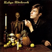 Robyn Hitchcock - How Do You Work This Thing