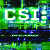 CSI: Crime Scene Investigation (Soundtrack from the TV Show), 2002
