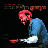 Marvin Gaye - Got To Give It Up